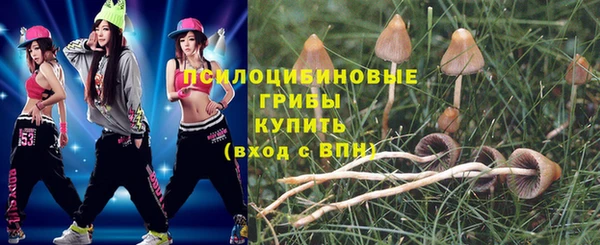 a pvp Майский
