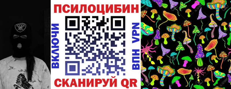 Купить  Катав-Ивановск  Галлюциногенные грибы Cubensis 